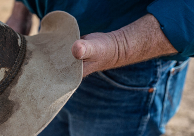 241122 WordPress blog post image