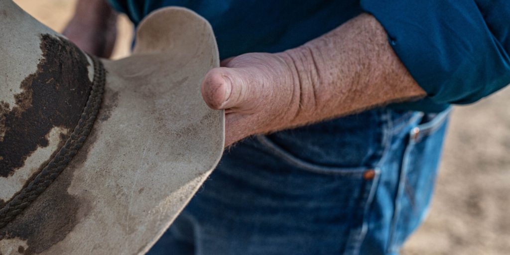 241122 Wordpress blog post image